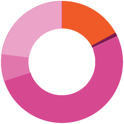 Pie Chart of Expenses by initiatives and countries