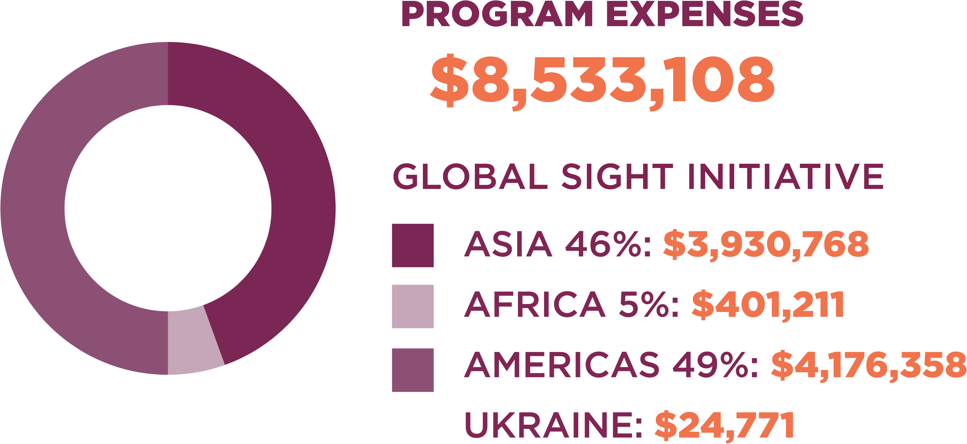 Program Expenses: $8,533,108. Asia 46%: $3,930,768. Africa 5%: $401,211. Americas 49%: $4,176,358. Ukraine: $24,771.